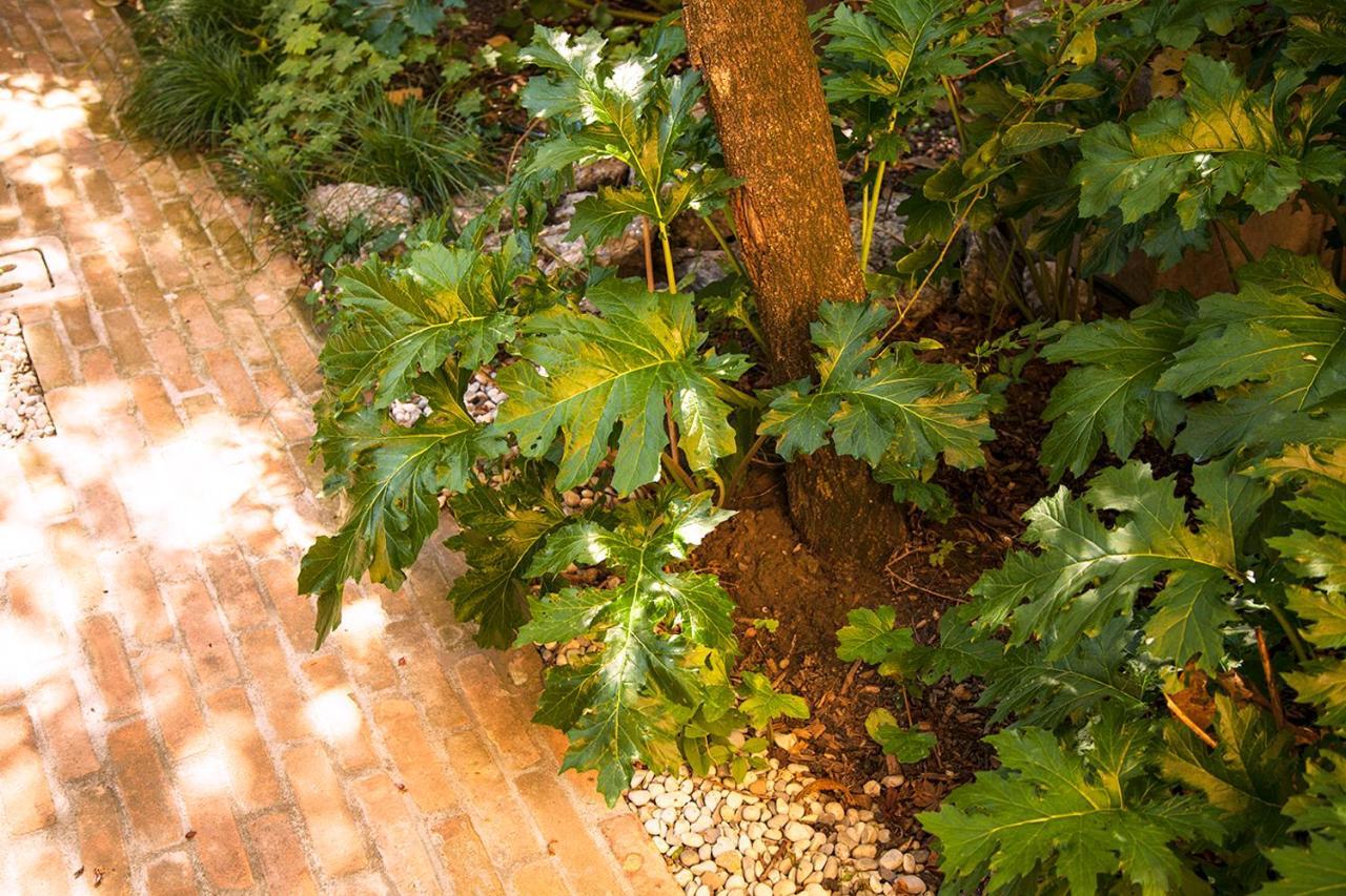 Urban Jungle Appartement Bologna Buitenkant foto