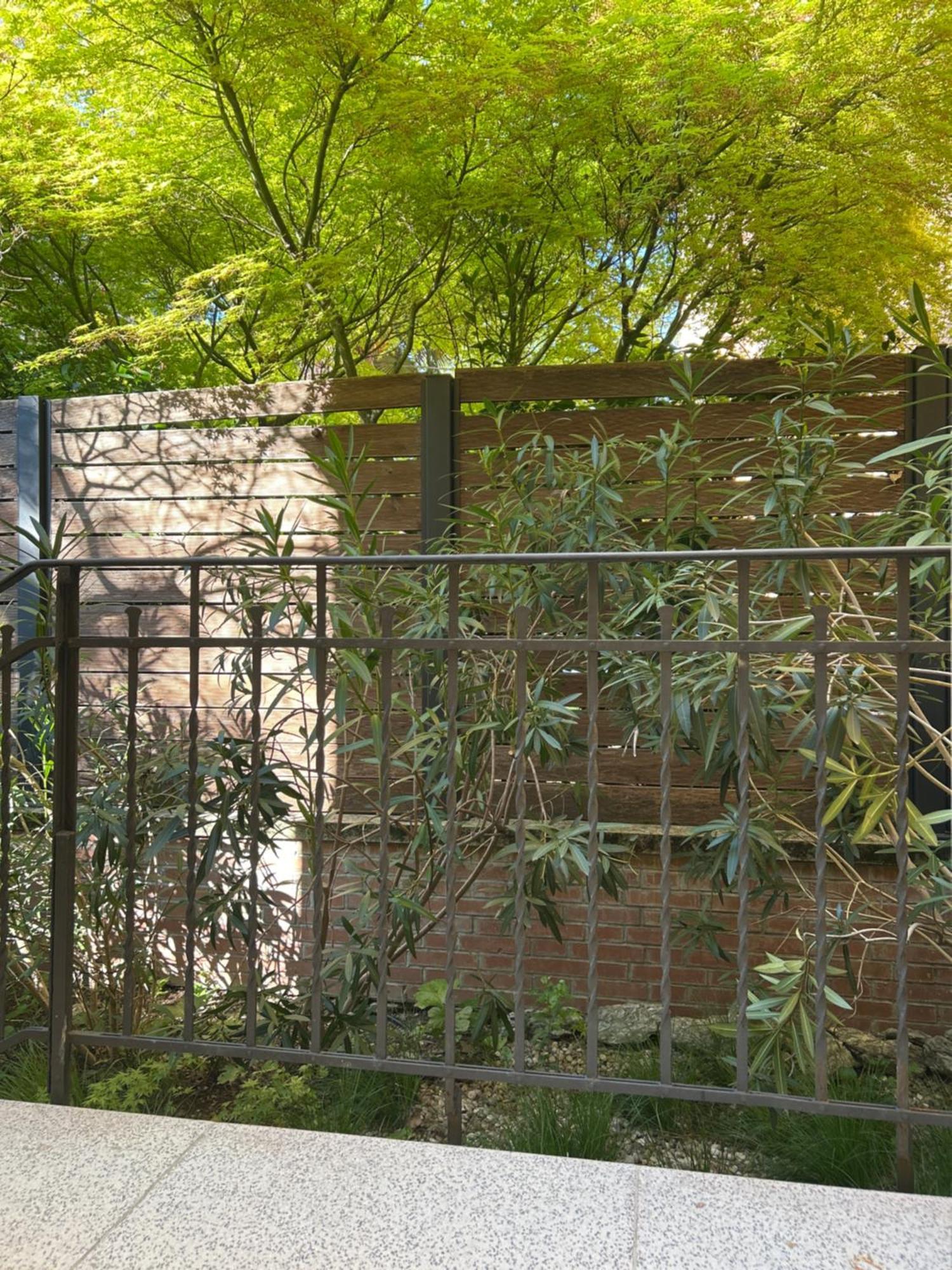 Urban Jungle Appartement Bologna Buitenkant foto